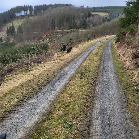 Kleines Mit Charme * Meschede