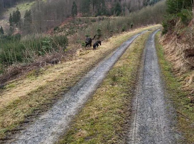 Kleines Mit Charme * Meschede